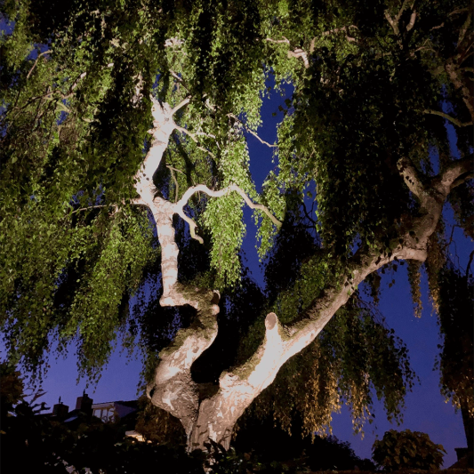 1-4 RGBWW Wifi led tuinspot set 6 watt met afstandsbediening