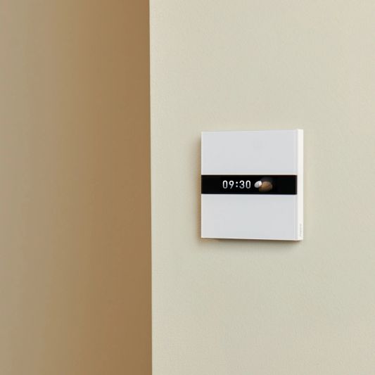 Aqara Display Switch V1