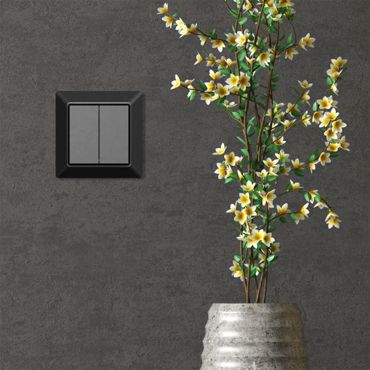 Draadloze Zigbee schakelaar zwart van EcoDim - Friends of Philips Hue - Geschikt voor 2 groepen