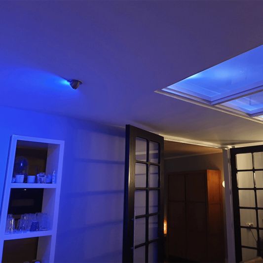 Milight led spot RGBWW 4 Watt MR16 fitting 12V