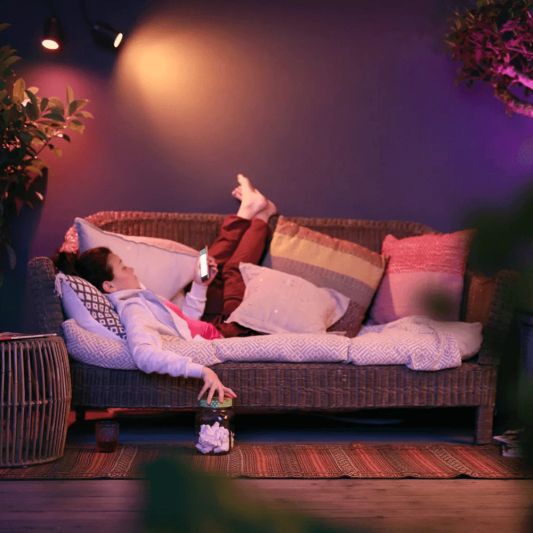 Philips Hue Outdoor Lily Spot Extension