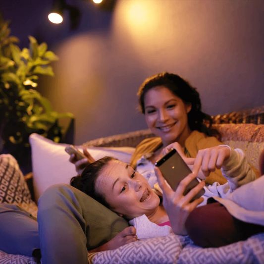 Philips Hue Outdoor Lily Spot Extension