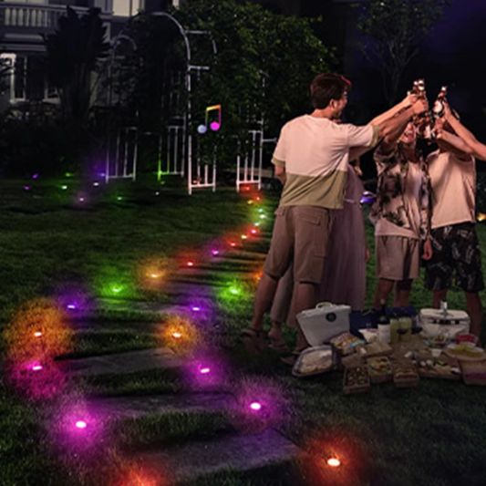 Wifi Feestverlichting voor de gevel | IP65 | 30m