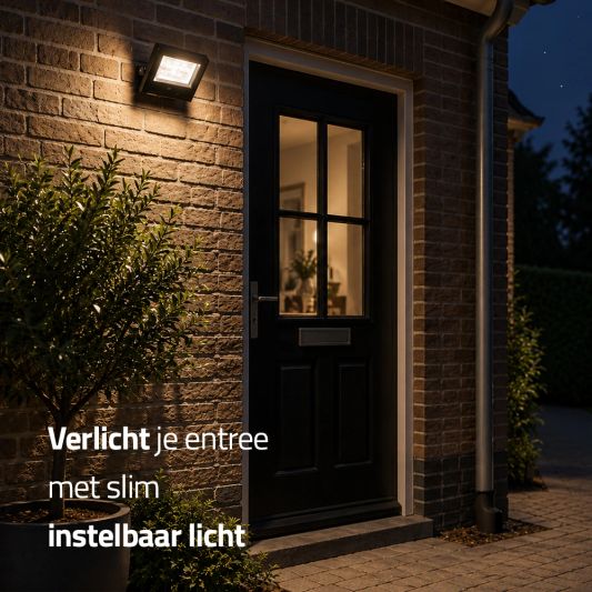 Slimme schijnwerper/bouwlamp 20 watt - RGBWW Multicolor en wit