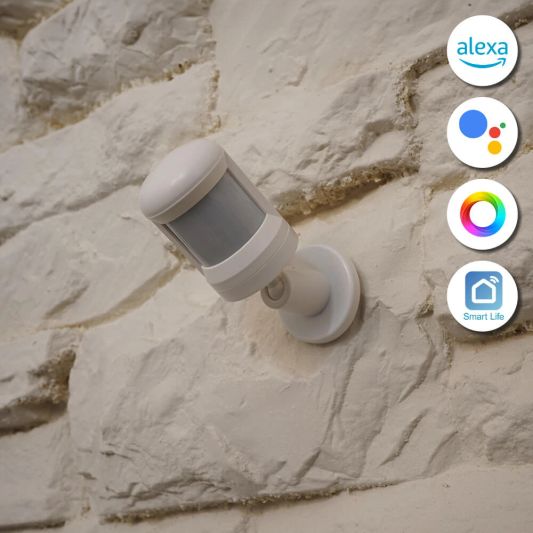 Slimme Zigbee bewegingssensor