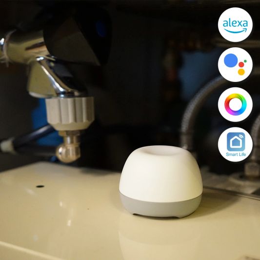 Slimme Zigbee water sensor