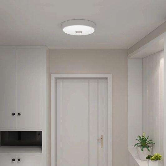 Yeelight slimme plafondlamp Mini 10W - Koud witte lichtkleur