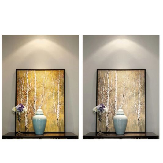 Zigbee 3.0 LED downlight Pro RGBWW inbouwspot - 6W